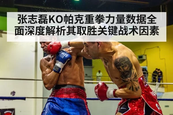 张志磊KO帕克重拳力量数据全面深度解析其取胜关键战术因素
