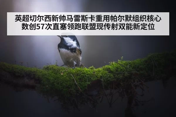 英超切尔西新帅马雷斯卡重用帕尔默组织核心 数创57次直塞领跑联盟现传射双能新定位