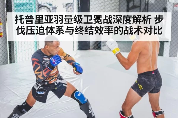 mma fighter training gloves